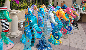 seahorses web